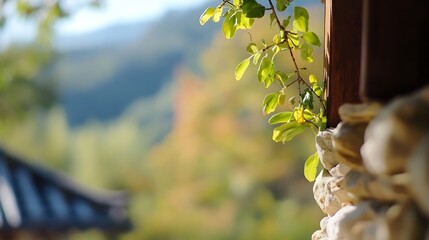 Poster - green leaves sprouting from the edge of a traditional stone wall in a peaceful setting : generative 