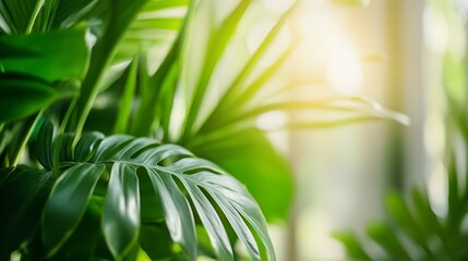 Poster - Lush green tropical leaves in bright sunlight creating a serene indoor atmosphere and feeling of relaxation : Generative AI