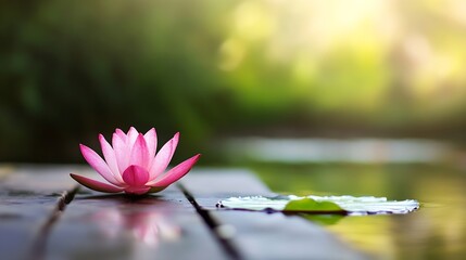 Poster - Serene Pink Lotus Flower on Calm Water Surface with Gentle Bokeh Background for Relaxation and Meditation : Generative AI