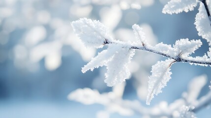 Aufkleber - Frosted Leaves on Branches in Soft Winter Light : Generative AI
