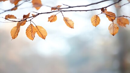 Aufkleber - Autumn Leaves on Branch Captured with a Soft Focus Against a Light Background : Generative AI