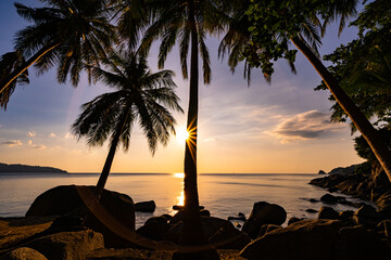 Wall Mural - Silhouette coconut palm trees at sunset or sunrise sky over sea, Amazing colorful light sky nature landscape, Beautiful nature sky and clouds background