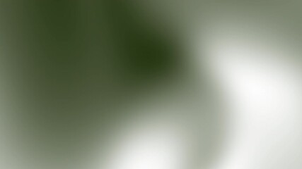 Poster - abstract flowing patterns in shades of green and gray creating a serene and calming background .soft