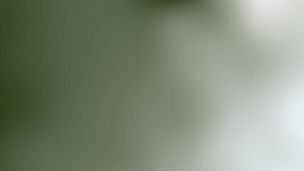 Poster - soft, blurred green background with subtle gradients and natural textures creating a calming, .soft 
