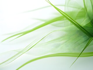 Poster - Elegant Green Ribbons Abstract Design on White Background for Spring and Nature Concepts