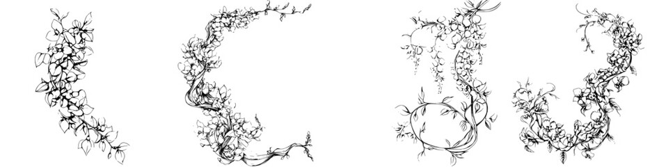 Poster - Decorative black line art featuring intricate floral designs suitable for various creative projects