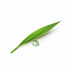 Wall Mural - Dewdrop resting on a delicate blade of grass isolated on white