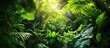 © Mehemmed - Lush green tropical jungle with vibrant foliage and sunlight filtering through dense leaves creating a serene natural atmosphere