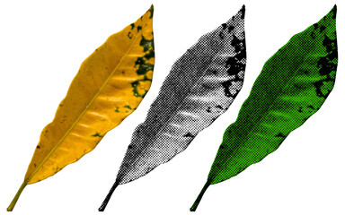 Aufkleber - A high-contrast halftone style PNG illustration featuring a leaf with a transparent background. The design uses bold color and a retro, graphic print aesthetic. Ideal for poster and design project.