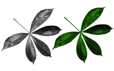 Aufkleber - A high-contrast halftone style PNG illustration featuring a leaf with a transparent background. The design uses bold color and a retro, graphic print aesthetic. Ideal for poster and design project.