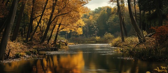 Leinwandbilder - Serene autumn river stream reflecting golden trees with lush green foliage on banks under a cloudy sky in a tranquil forest landscape