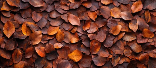 Aufkleber - Vibrant autumn leaves in rich shades of orange and brown arranged closely together in a flat lay composition with ample copy space for text