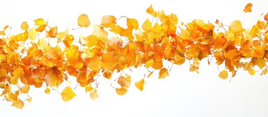 Aufkleber - Colorful autumn leaves in shades of yellow and orange falling diagonally across a clean white background creating a vibrant seasonal atmosphere.