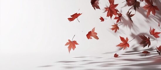 Poster - Falling red maple leaves creating dynamic patterns on a clean white background casting soft shadows in various positions.