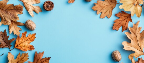 Poster - Autumn flat lay featuring dried oak leaves in shades of brown and orange with acorns on a pastel blue background creating a cozy seasonal atmosphere