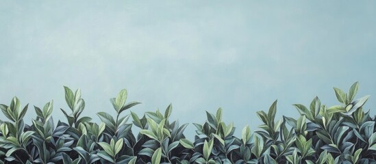 Fototapete - Serene greenery with soft green leaves positioned at the bottom against a tranquil light blue sky creating a peaceful and harmonious scene.