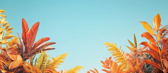 Aufkleber - Bright vibrant autumn foliage in shades of orange and yellow against a clear blue sky with a serene landscape view from below.