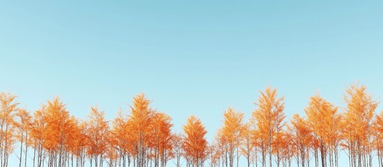 Leinwandbilder - Autumn forest landscape with bare trees against a clear blue sky featuring vibrant orange foliage in a row along the lower section of the image.