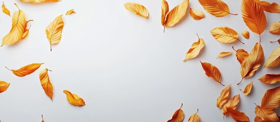 Aufkleber - Autumn maple leaves scattered on a clean white background with vibrant orange and yellow hues arranged in a dynamic flowing pattern