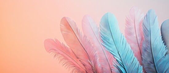 Fototapete - Pastel gradient background featuring black feather corallicites in shades of pink and blue positioned on the left with space for text on the right