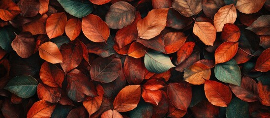 Aufkleber - Autumn leaves in vibrant red and orange hues scattered randomly on a dark background creating a warm and inviting autumnal mood scene.