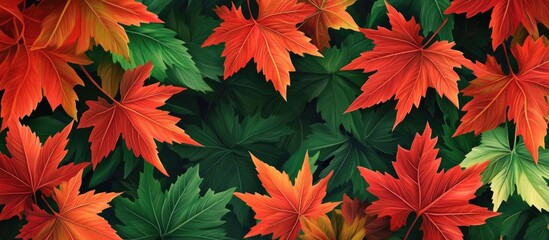Poster - Colorful maple leaves in vibrant shades of red and green scattered against a dark green background creating a rich autumnal texture.