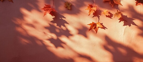 Poster - Autumnal scene with red maple leaves casting shadows on a warm peach wall background golden light creating a serene atmospheric effect