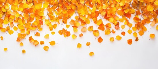 Leinwandbilder - Vibrant autumn leaves in shades of yellow and orange scattered across a bright white background, creating a warm seasonal atmosphere.
