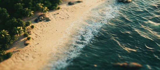 Poster - Aerial view of a serene beach with golden sand and turquoise waves gently lapping the shore surrounded by lush green palm trees.