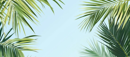 Poster - Coconut palm branches in vibrant green positioned diagonally against a soft light blue sky creating a tropical and serene atmosphere