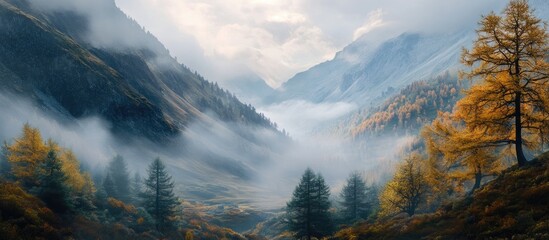 Leinwandbilder - Misty autumn valley with golden and green trees layered in soft fog under a cloudy sky, showcasing a serene natural landscape.