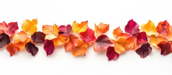 Aufkleber - Colorful autumn leaves in shades of orange, red, and yellow arranged in a continuous border on a white background for a seasonal theme.