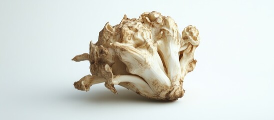 Poster - Celeriac displayed against a clean white background emphasizing its rustic brown texture and unique shape in a side view composition