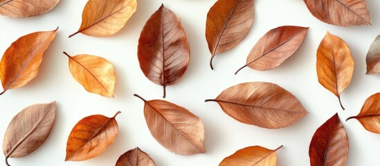 Leinwandbilder - Autumn flat lay featuring dried orange and brown leaves on a light background creating a textured arrangement with ample copy space.