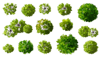 Wall Mural - set of green leaves, vertor set of green tree,plants top view for landscape plan,schematic layout,ec