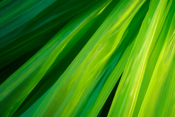 Poster - Bright green texture with smooth surface on a dark background for dynamic design elements
