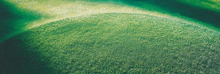 Poster - Bright green putting green grass texture viewed from above showcasing fine blade patterns