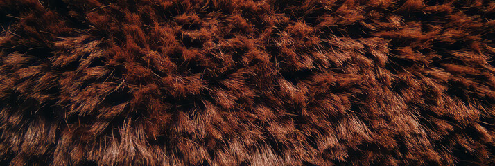 Poster - Plush chocolate brown carpet texture perfect for cozy interiors