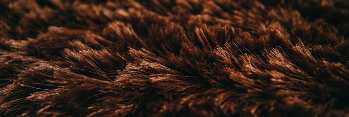 Poster - Rich chocolate brown plush carpet texture enhances cozy living spaces with soft lighting