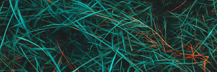 Poster - Lush dark green tangled grass with intricate textures and deep shadows from a top view perspective