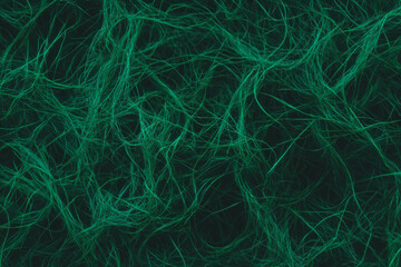 Poster - Deep shadows among tangled dark green grass texture on black background