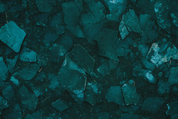 Poster - Dark green rough texture featuring thick grass clumps on a black background