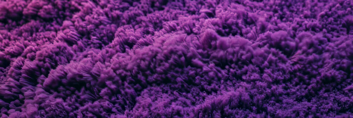 Poster - Dense cut and loop carpet texture showcasing deep purple and varied pile height in a modern space
