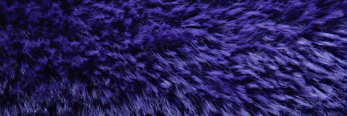 Poster - Deep purple carpet texture showcasing a rich blend of cut and loop pile heights