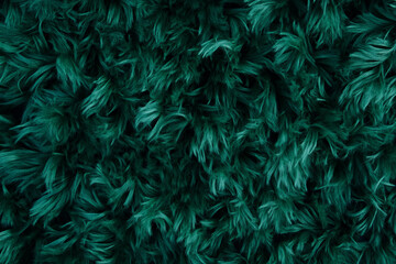 Poster - Dense soft grass texture with deep green color and subtle lighting against a black background