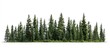 © meristock - Dense green coniferous trees cluster against a pure white background, showcasing vivid summer foliage, perfect for print and web design applications.