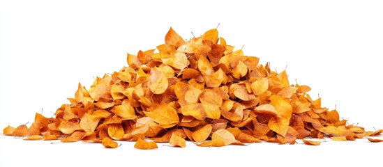 Aufkleber - Piled orange autumn leaves on white background showcasing vibrant fall colors in a textured heap for seasonal decor and natural themes.