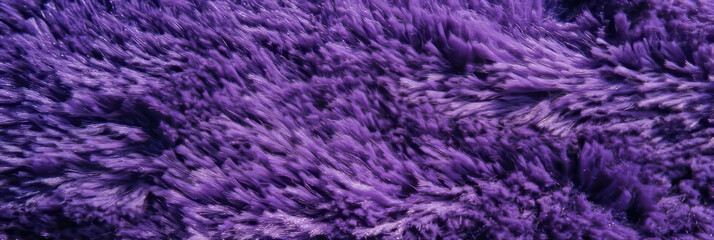 Poster - Dense lavender frieze carpet featuring tightly wound pile and rich shadows