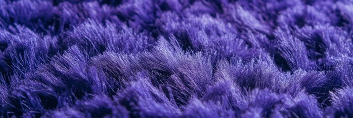 Poster - Lavender dense frieze carpet texture highlighting tightly wound pile and deep shadows