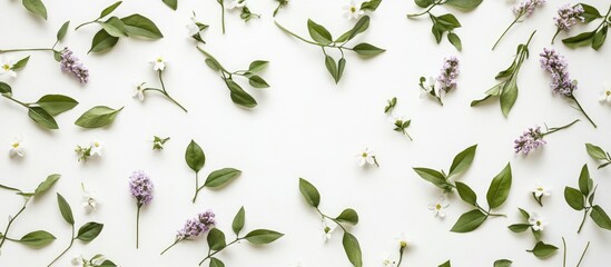 Aufkleber - Delicate arrangement of chamomile branches and lilac petals scattered on a clean white background featuring vibrant green leaves flat lay view